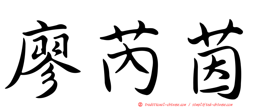 廖芮茵