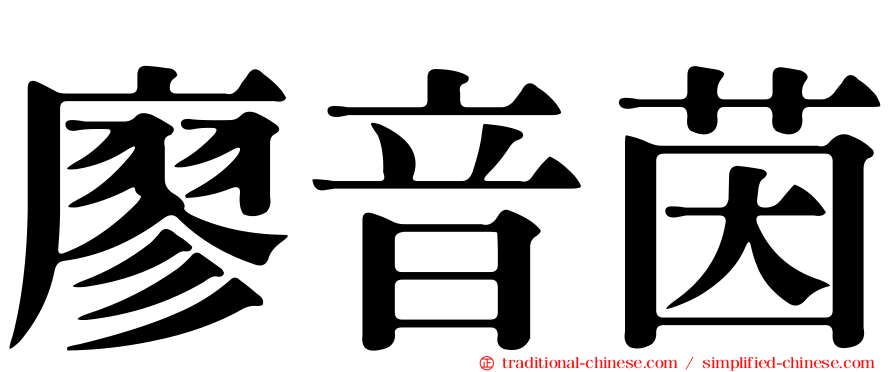廖音茵