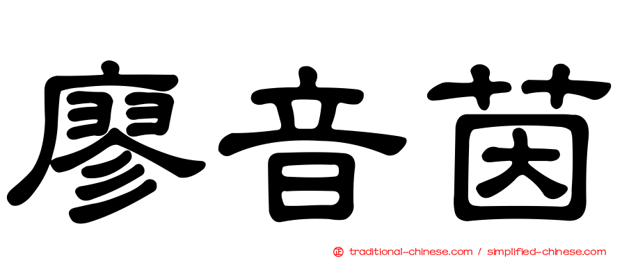 廖音茵