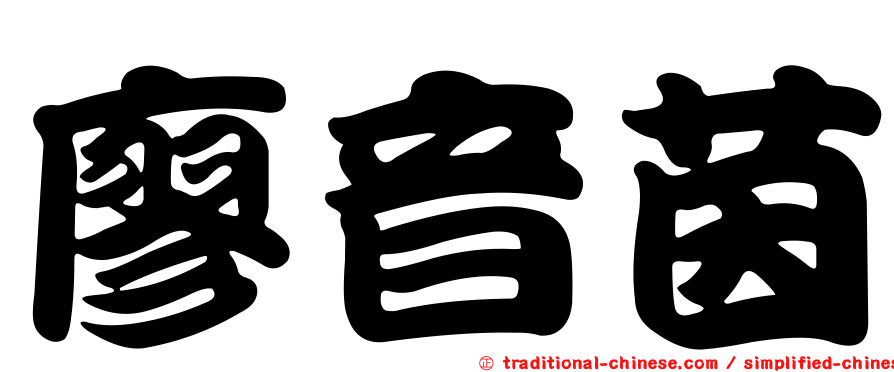 廖音茵