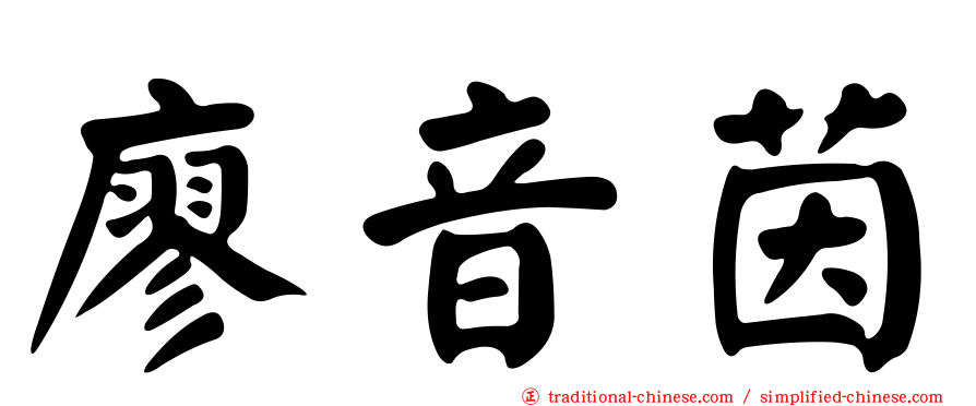 廖音茵