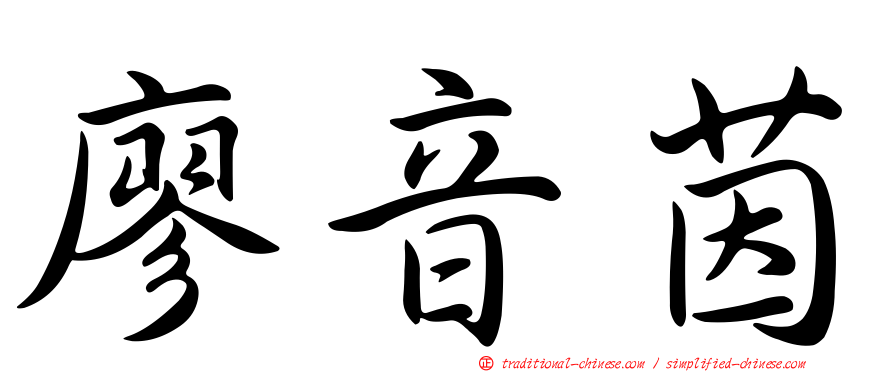 廖音茵