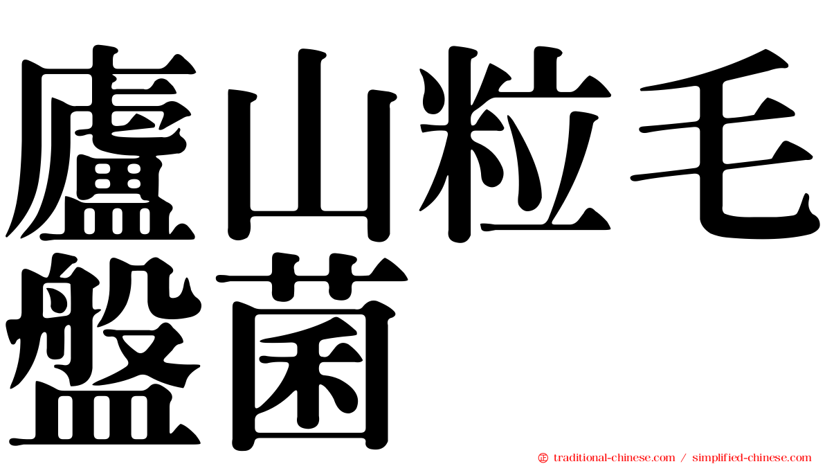 廬山粒毛盤菌