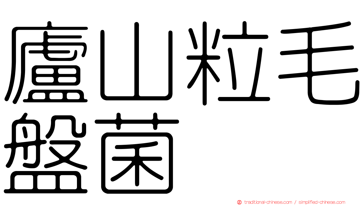 廬山粒毛盤菌