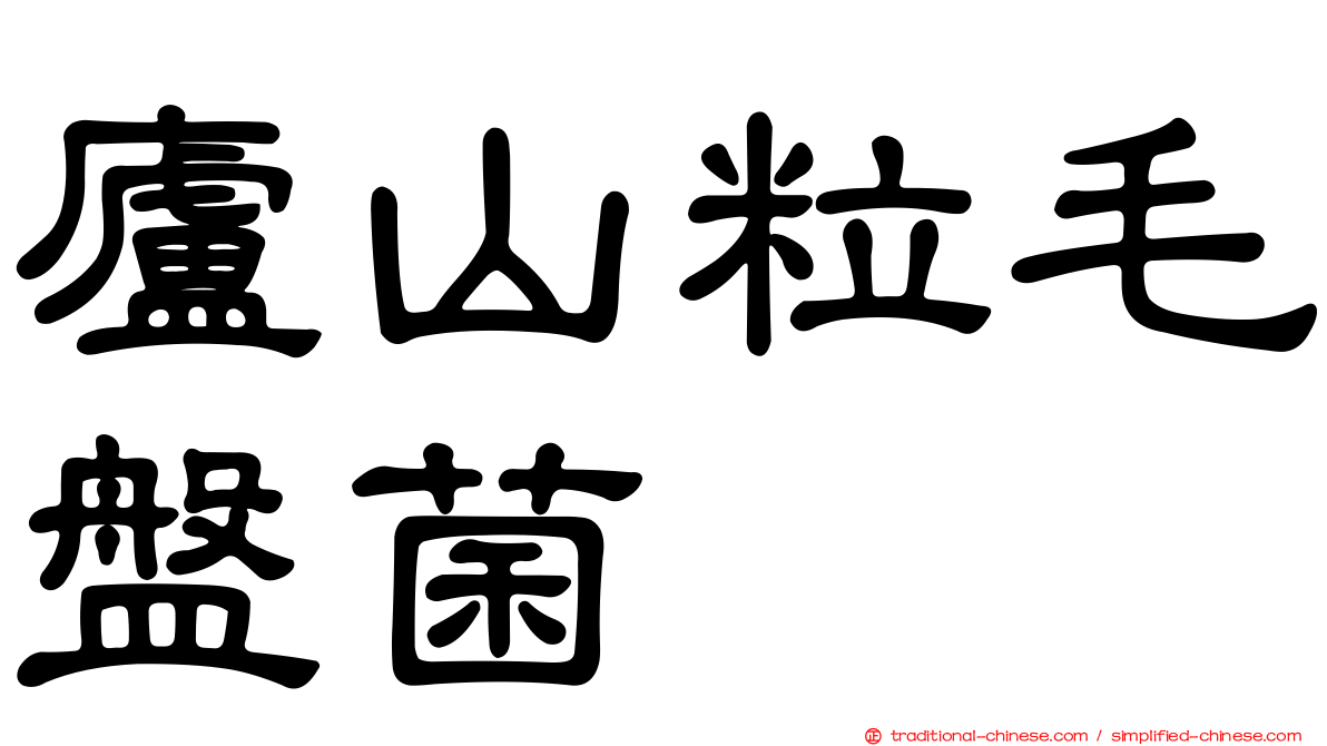 廬山粒毛盤菌