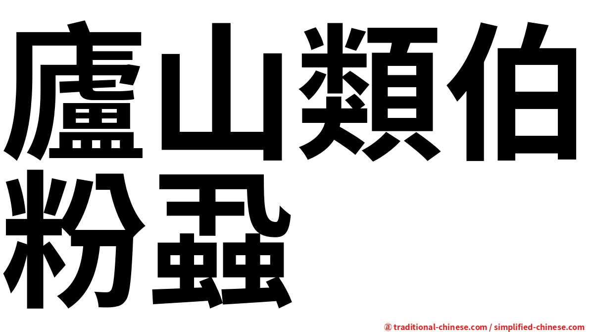 廬山類伯粉蝨