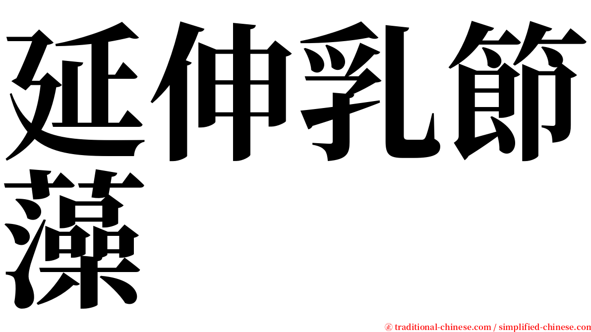延伸乳節藻 serif font