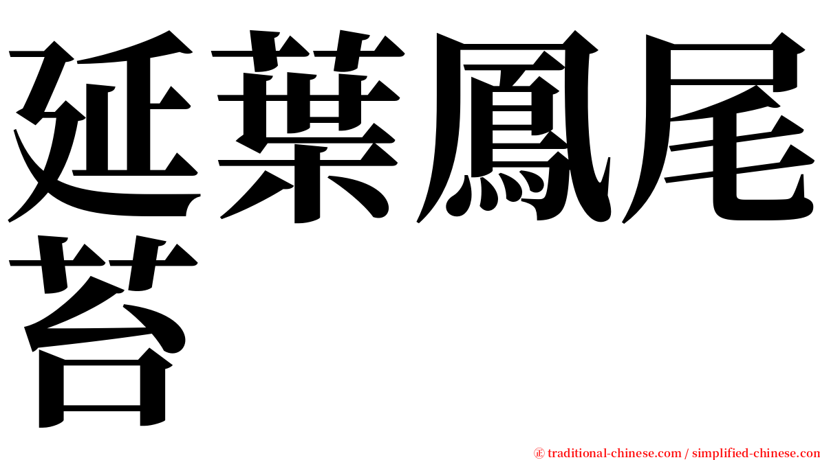 延葉鳳尾苔 serif font