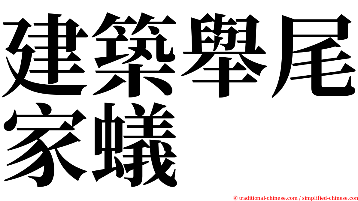 建築舉尾家蟻 serif font