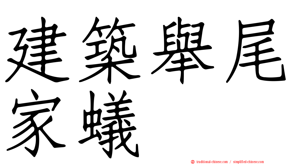 建築舉尾家蟻