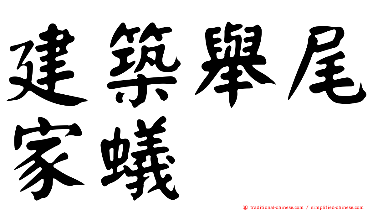 建築舉尾家蟻