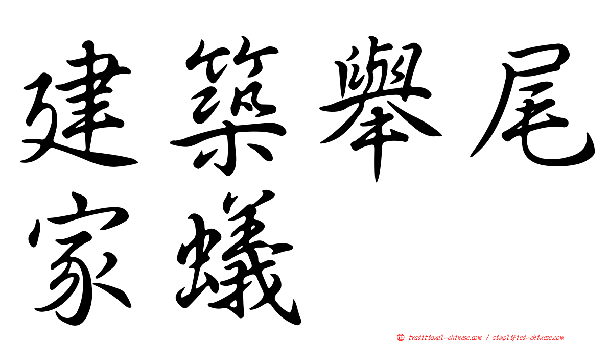 建築舉尾家蟻