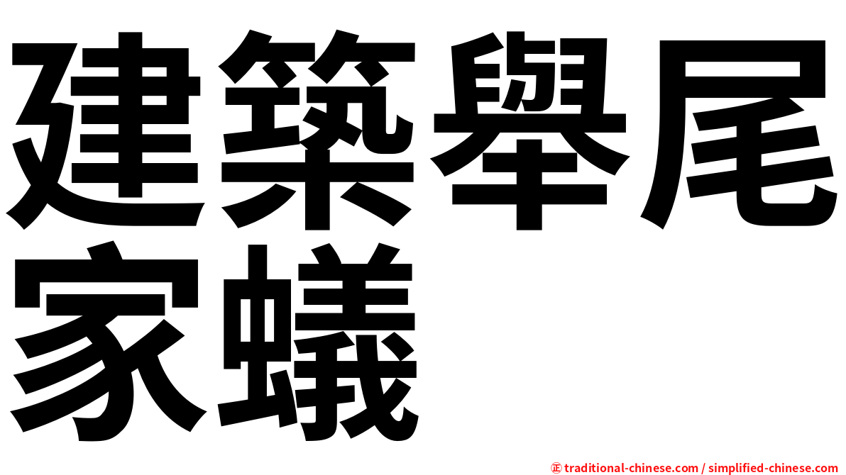 建築舉尾家蟻