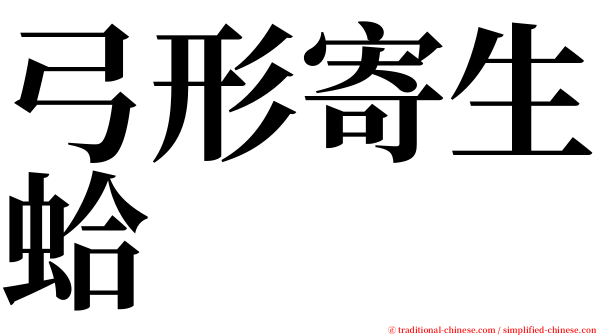 弓形寄生蛤 serif font