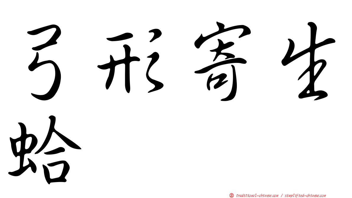 弓形寄生蛤