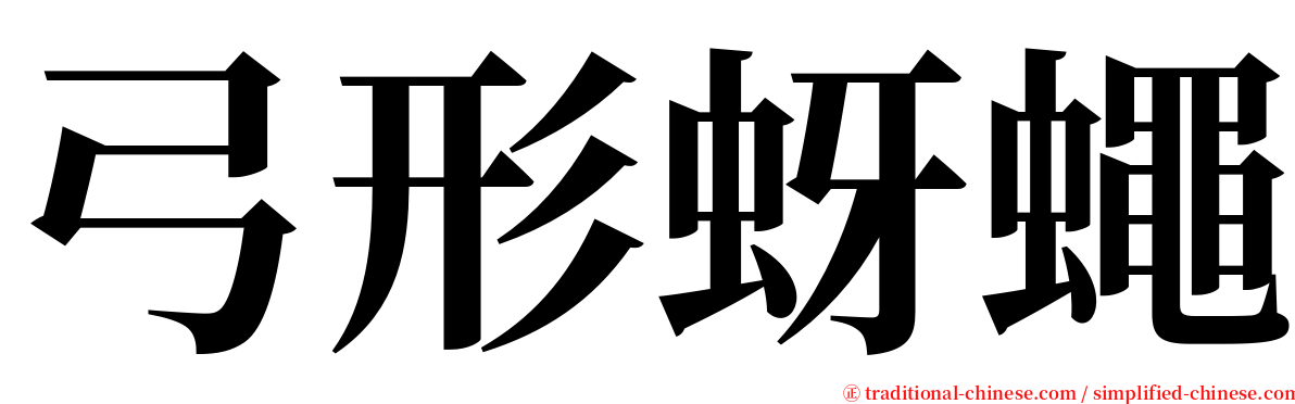弓形蚜蠅 serif font