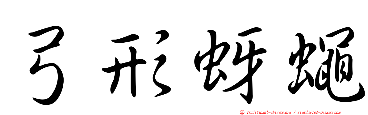 弓形蚜蠅