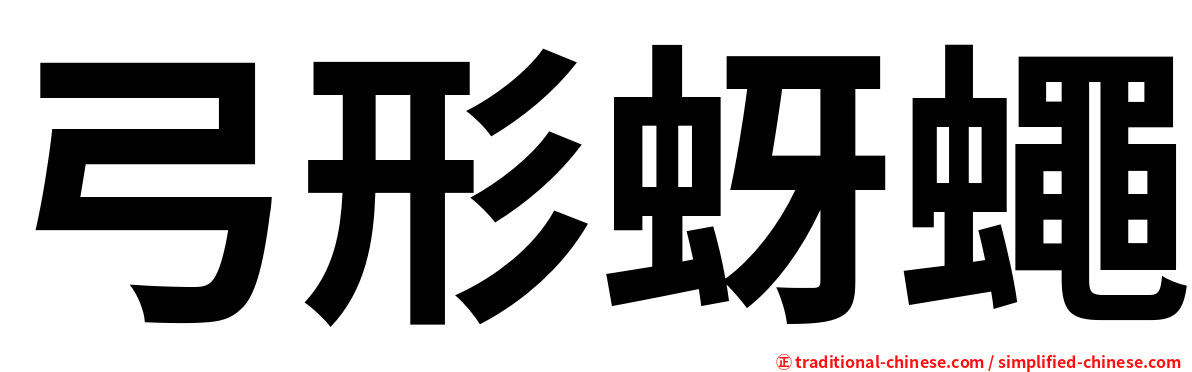 弓形蚜蠅