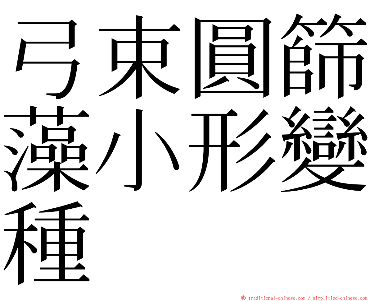 弓束圓篩藻小形變種 ming font