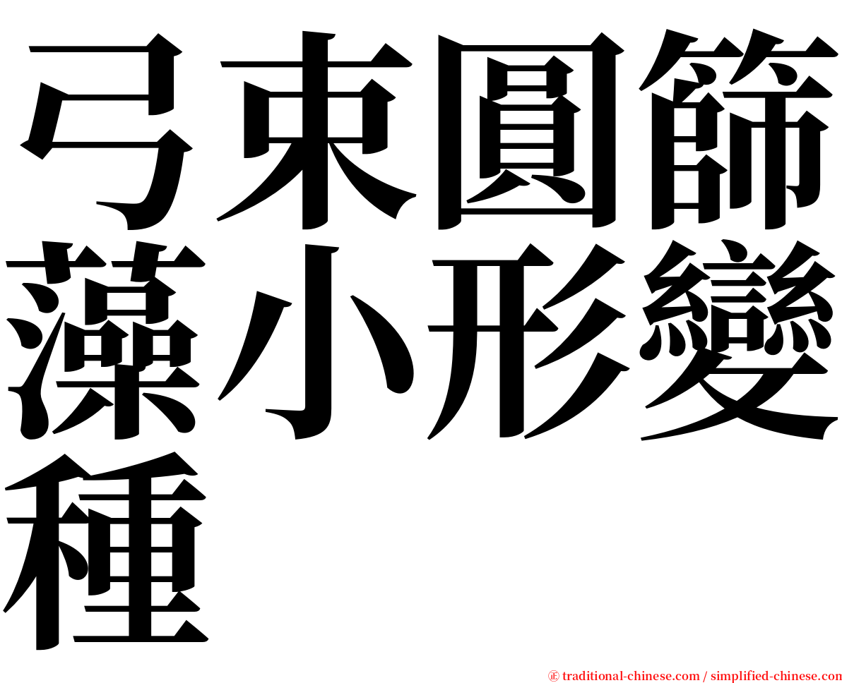 弓束圓篩藻小形變種 serif font