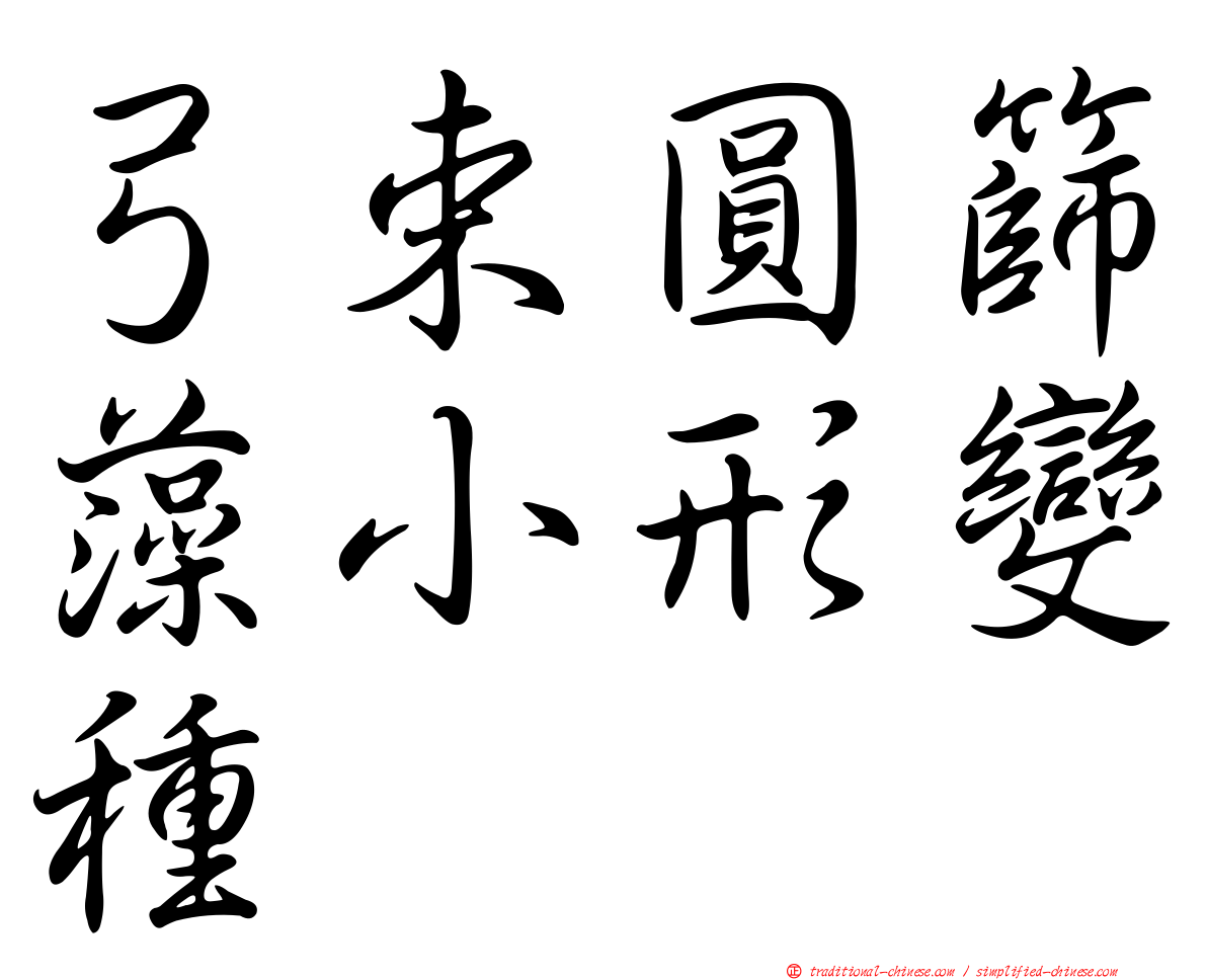 弓束圓篩藻小形變種