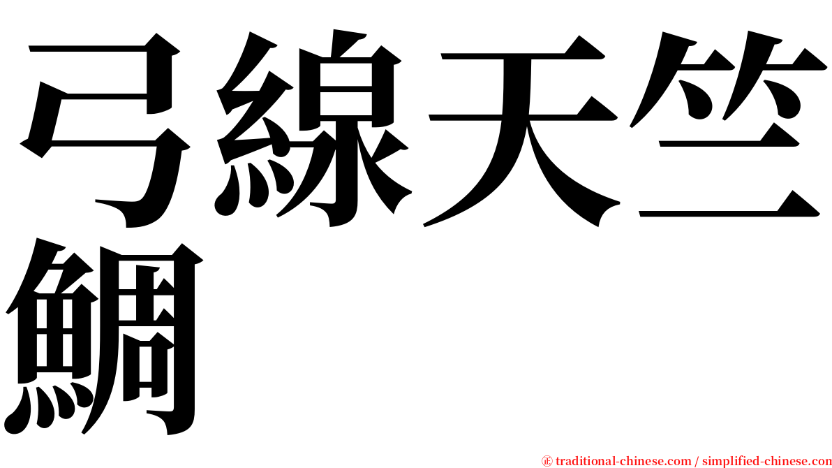 弓線天竺鯛 serif font