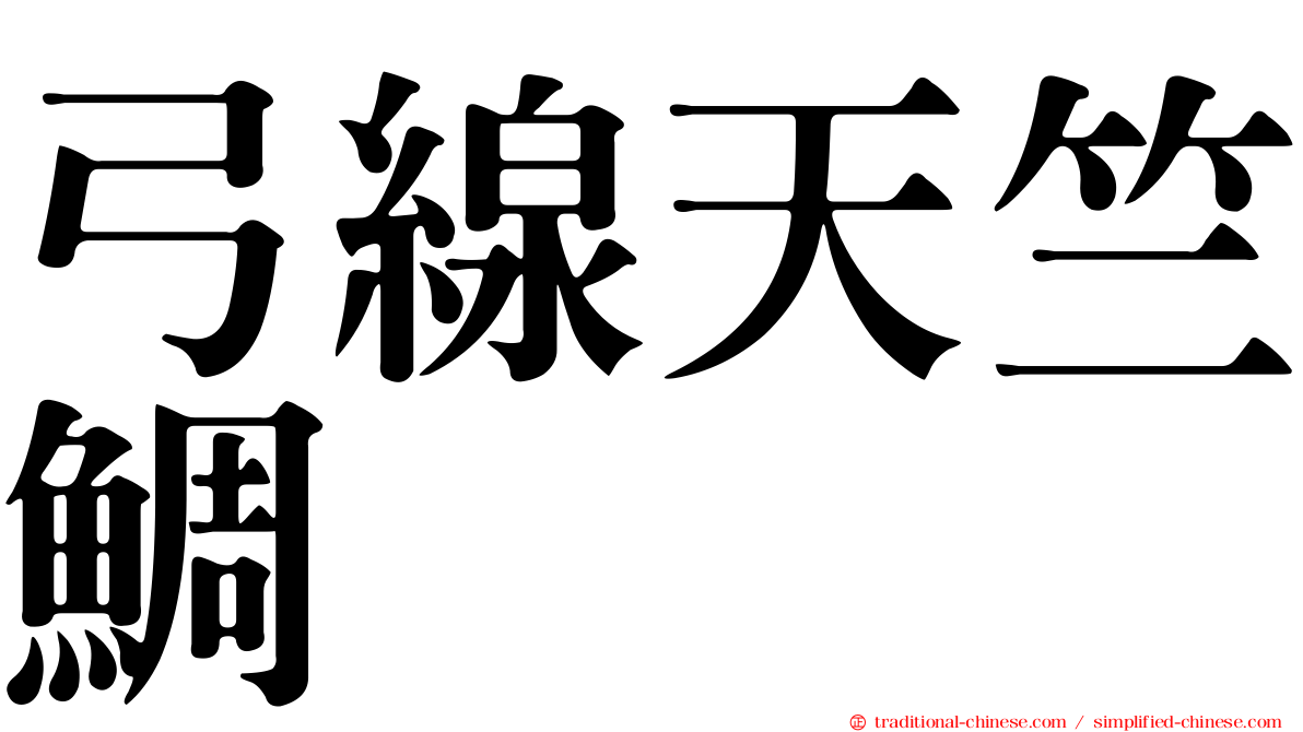 弓線天竺鯛