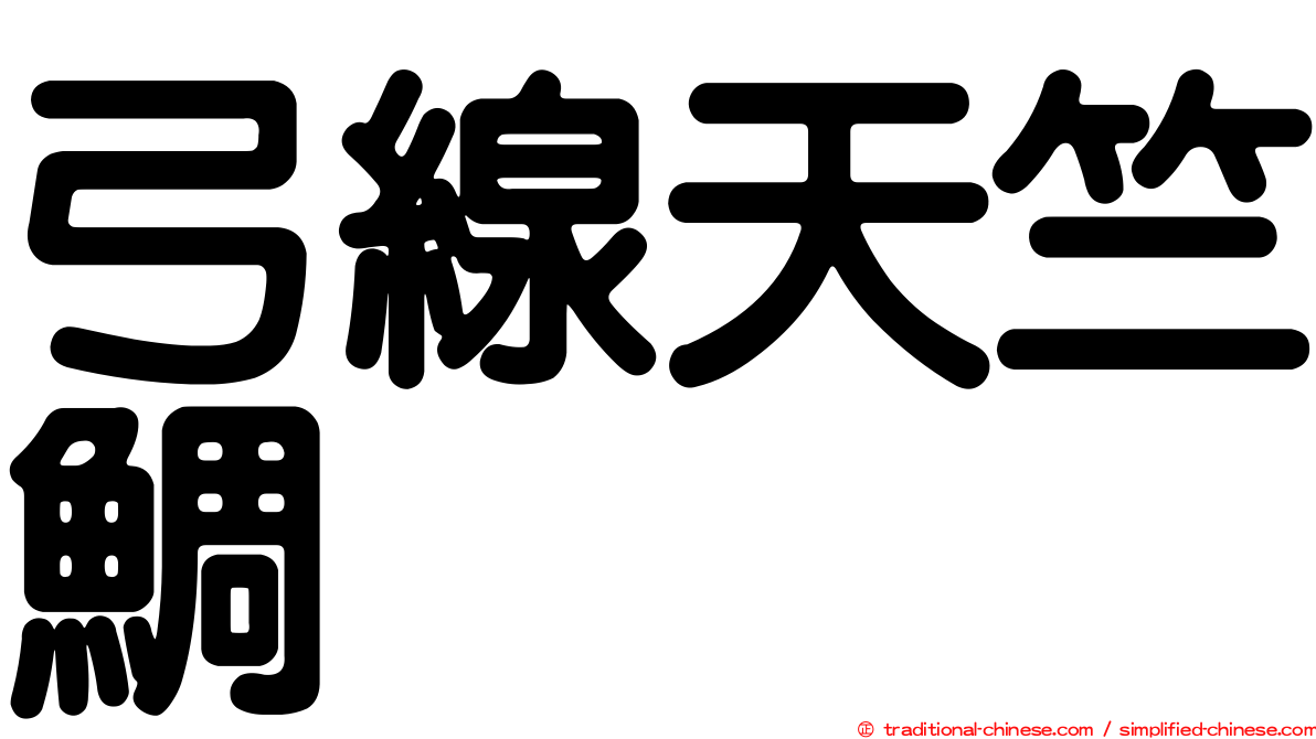 弓線天竺鯛
