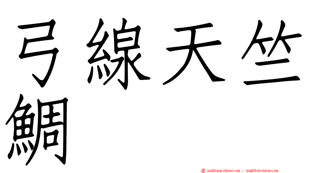弓線天竺鯛
