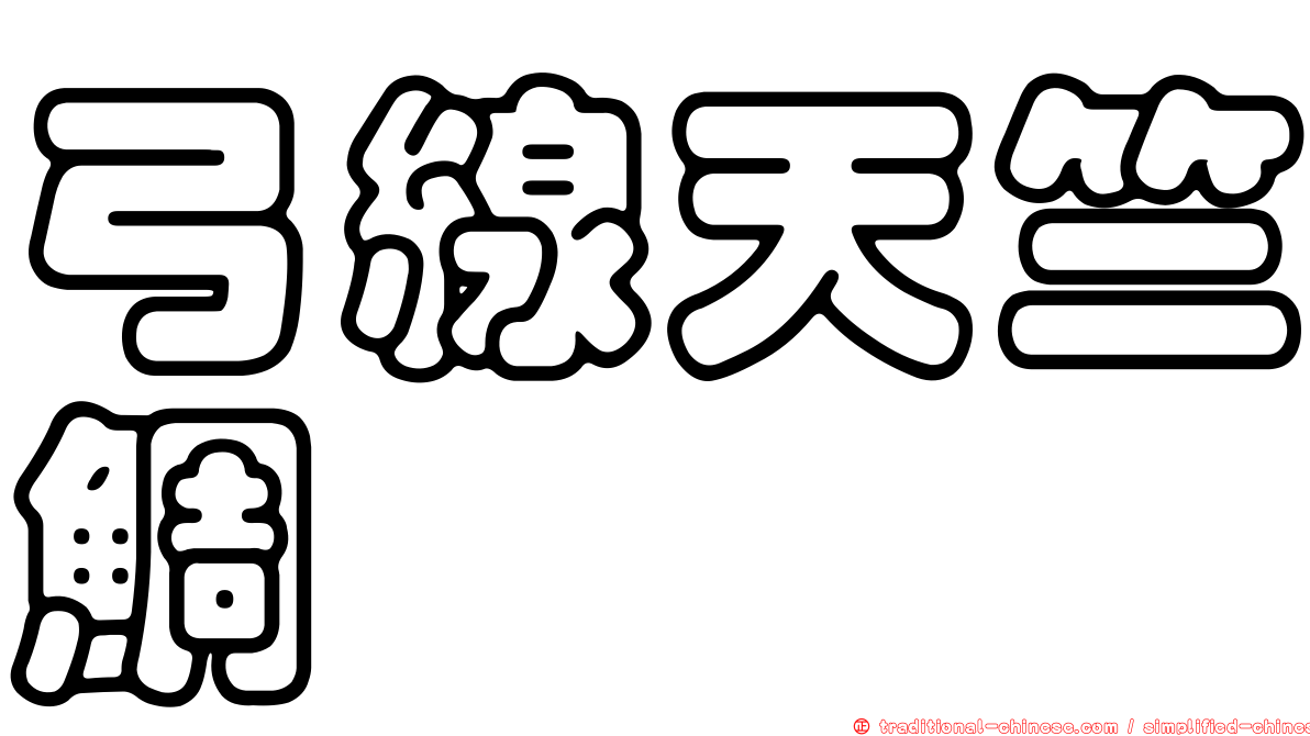 弓線天竺鯛
