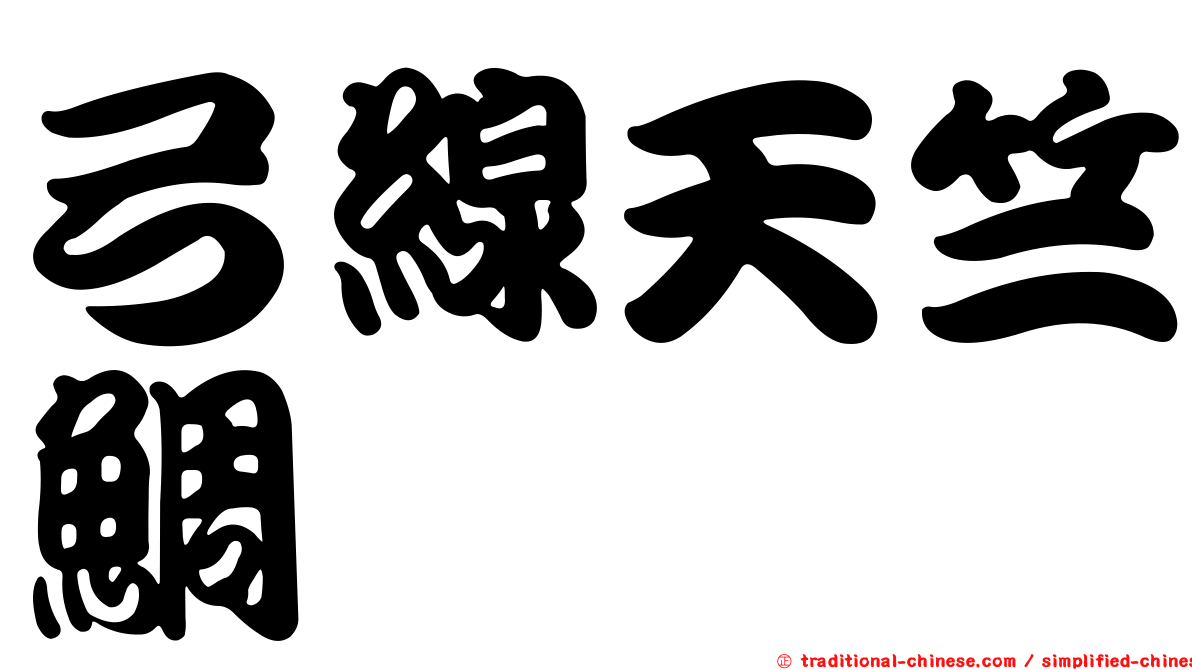 弓線天竺鯛