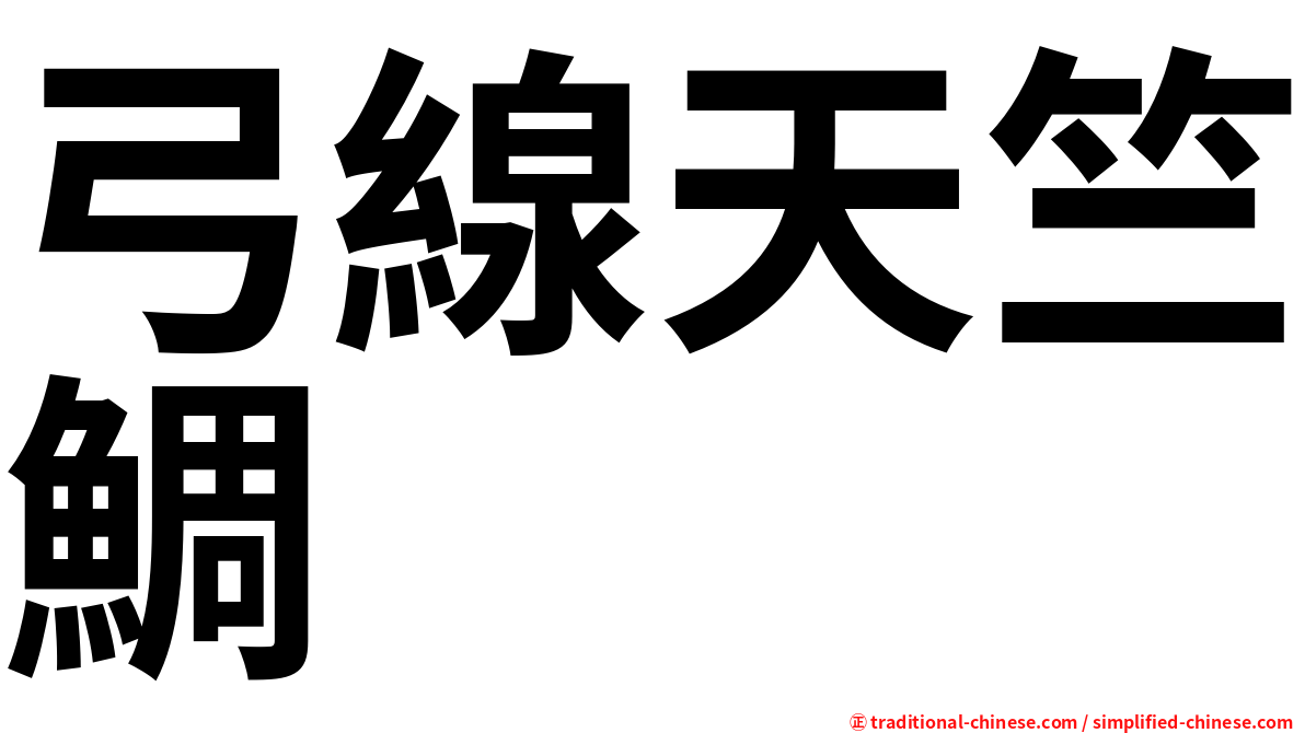 弓線天竺鯛