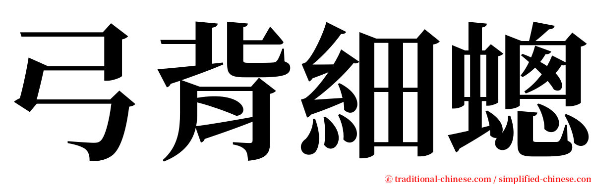 弓背細蟌 serif font