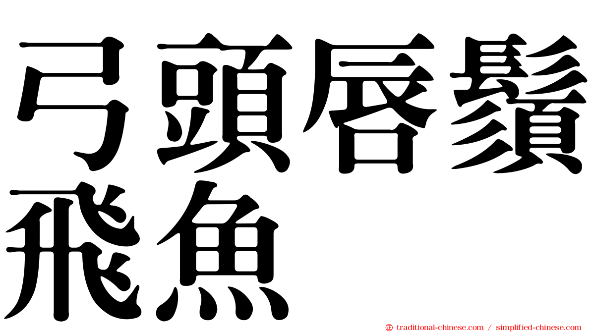 弓頭唇鬚飛魚