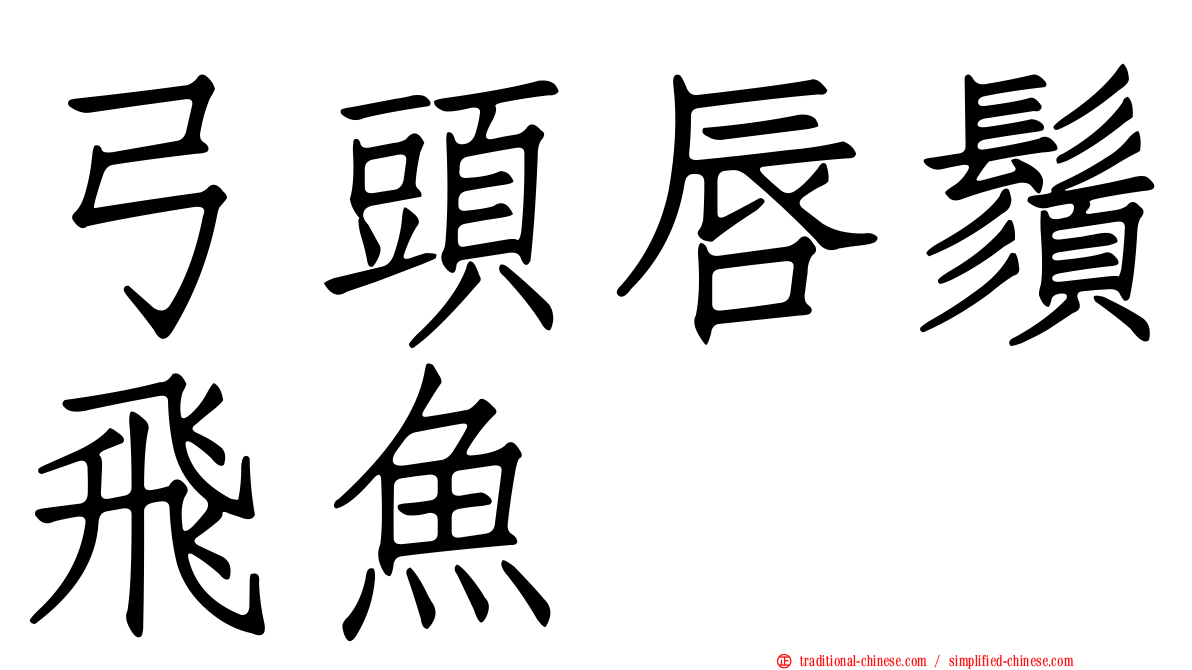 弓頭唇鬚飛魚