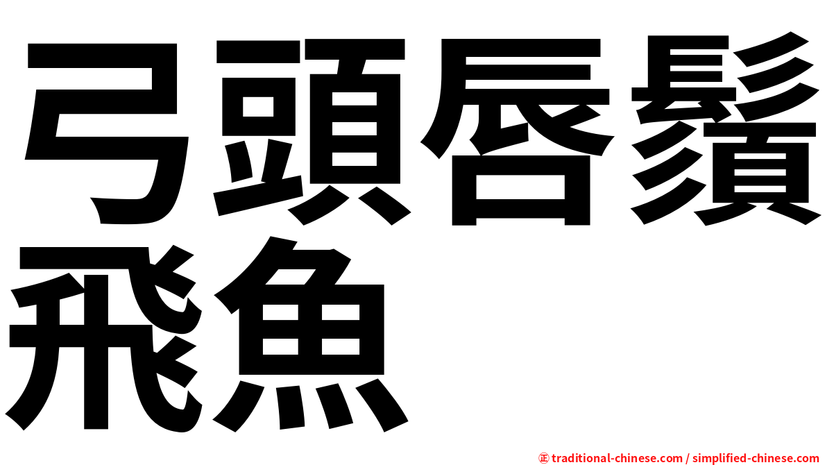 弓頭唇鬚飛魚