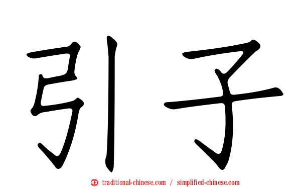 引子