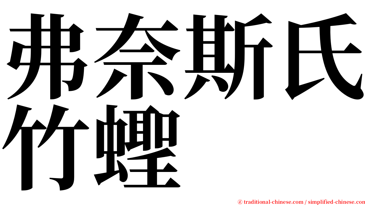 弗奈斯氏竹蟶 serif font