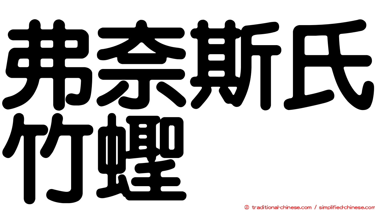 弗奈斯氏竹蟶