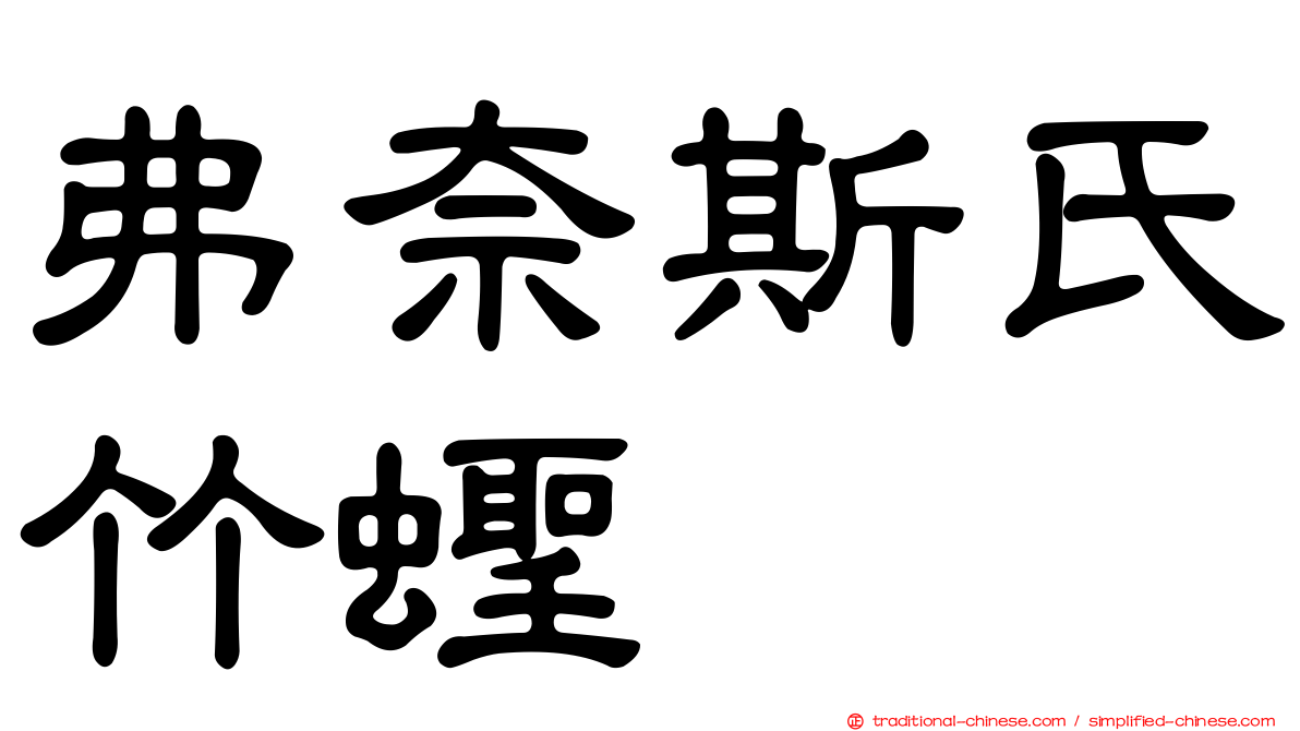 弗奈斯氏竹蟶
