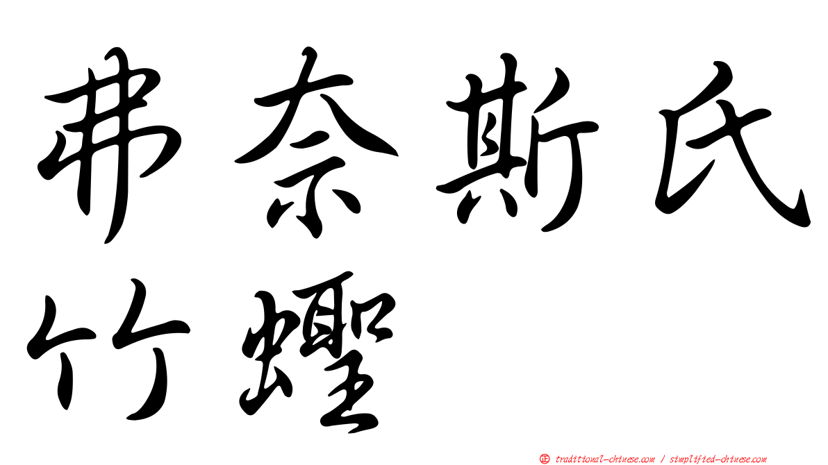 弗奈斯氏竹蟶