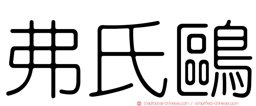 弗氏鷗