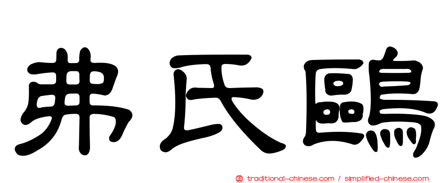 弗氏鷗