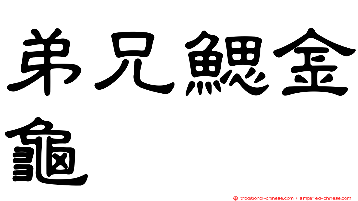 弟兄鰓金龜