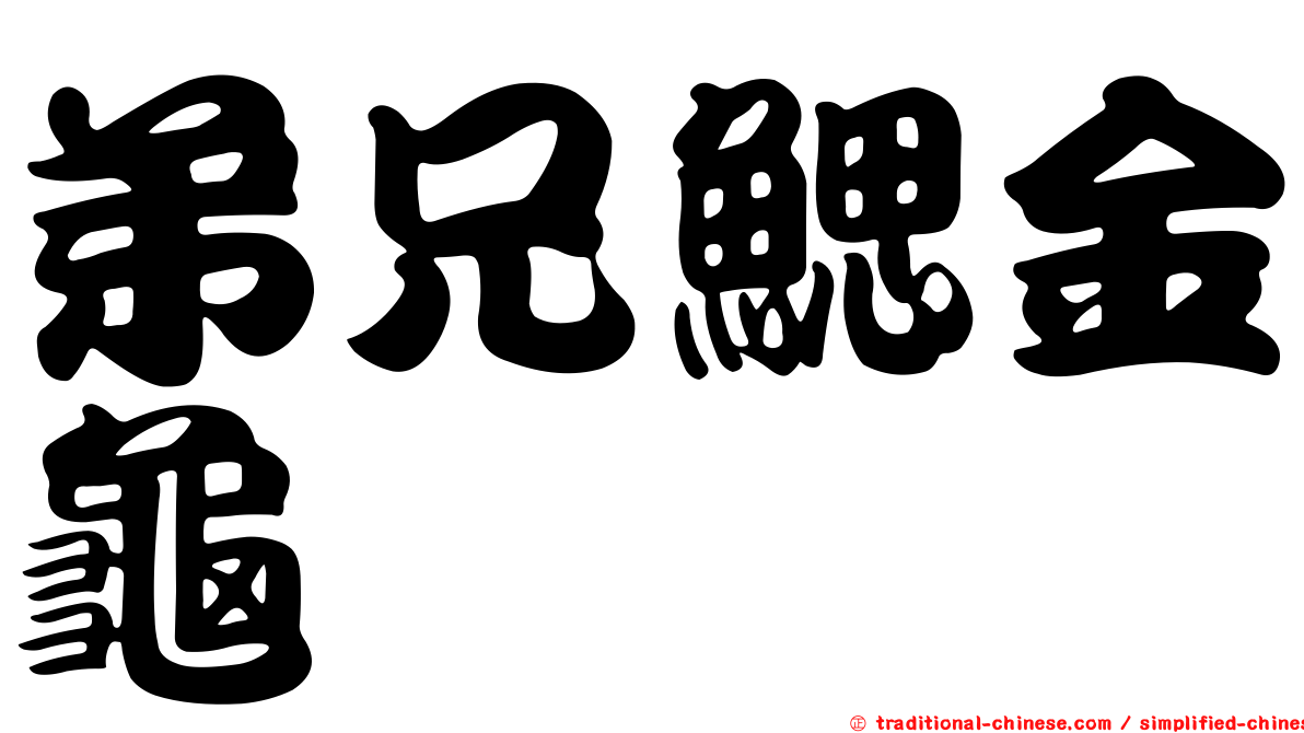弟兄鰓金龜