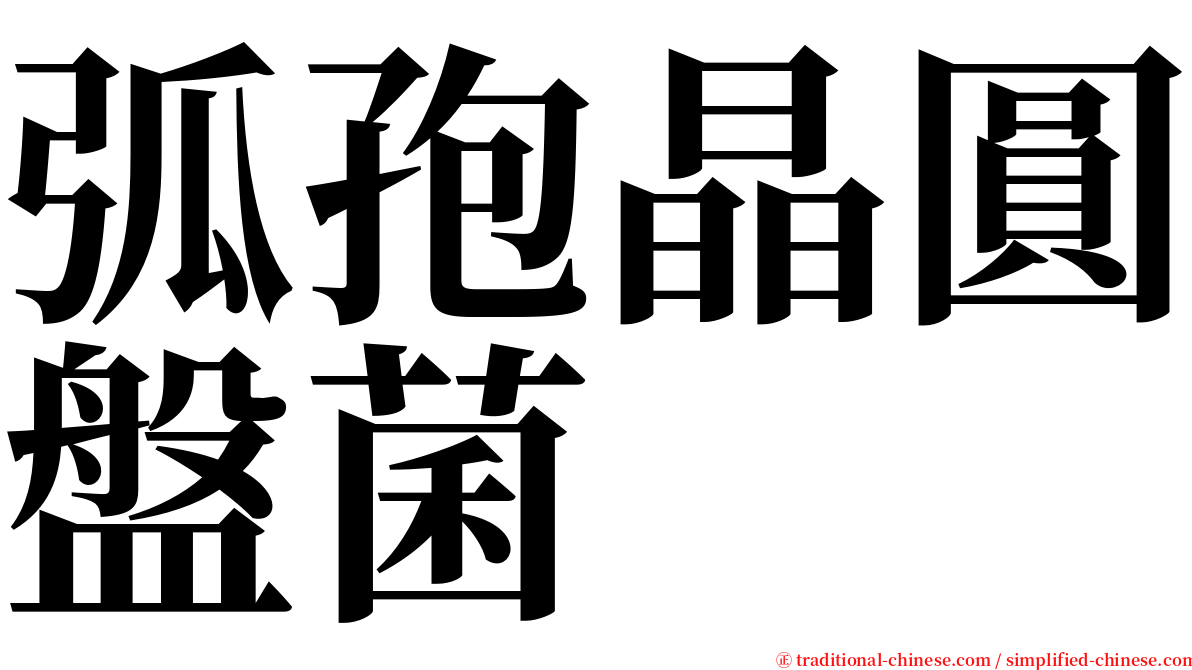 弧孢晶圓盤菌 serif font