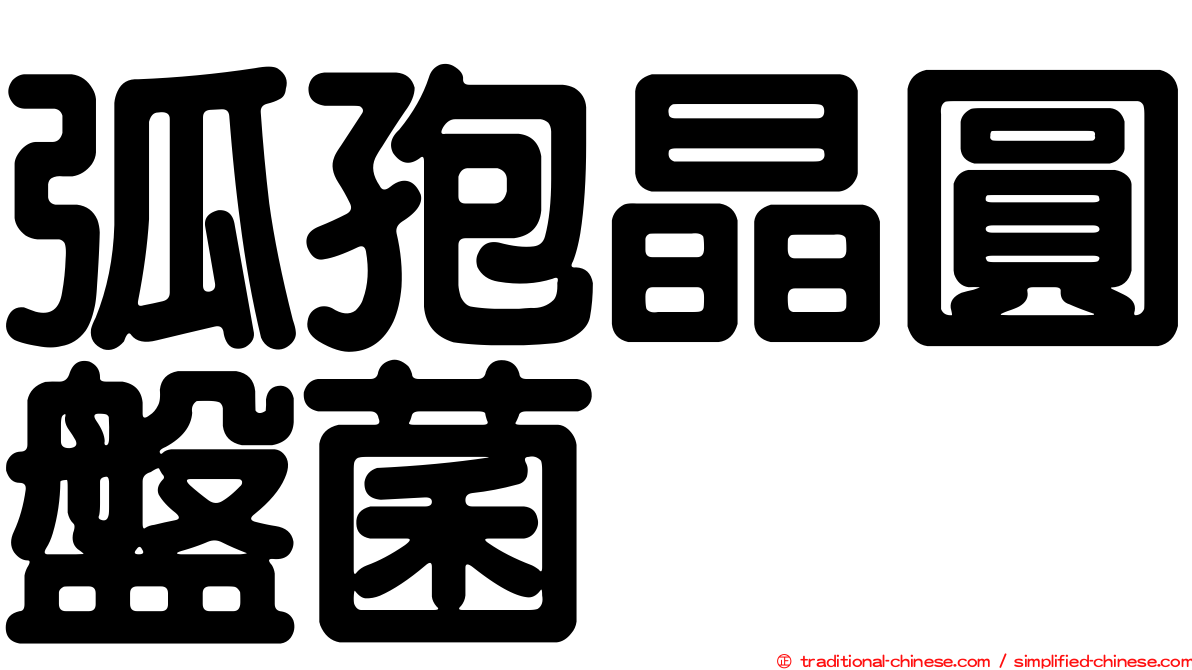 弧孢晶圓盤菌
