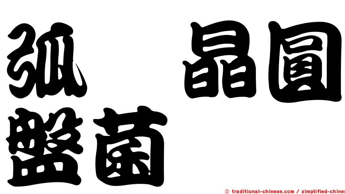 弧孢晶圓盤菌