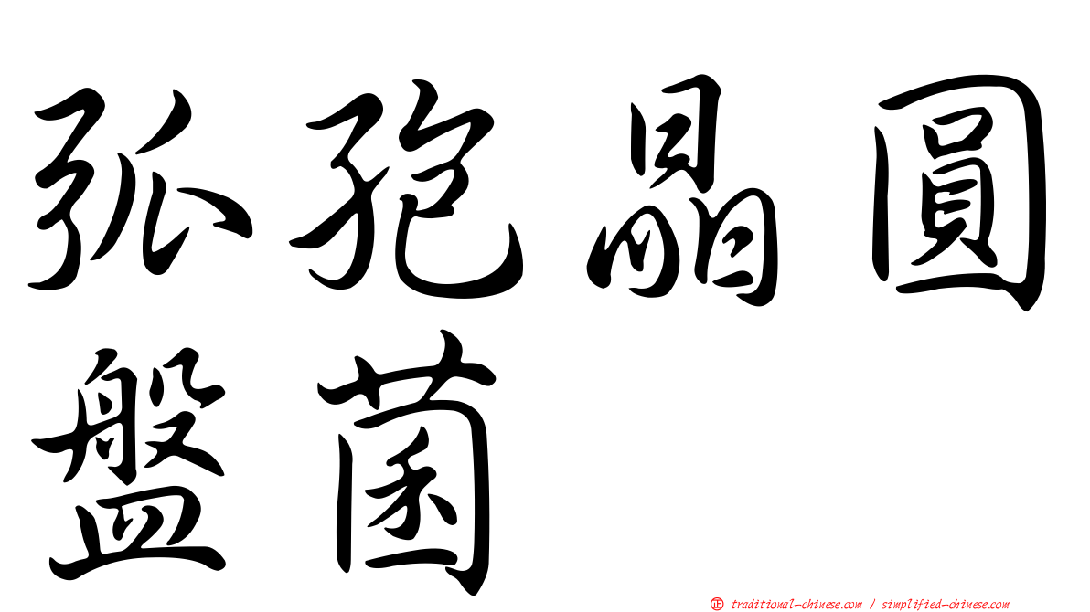 弧孢晶圓盤菌