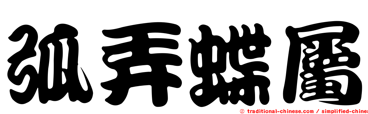 弧弄蝶屬